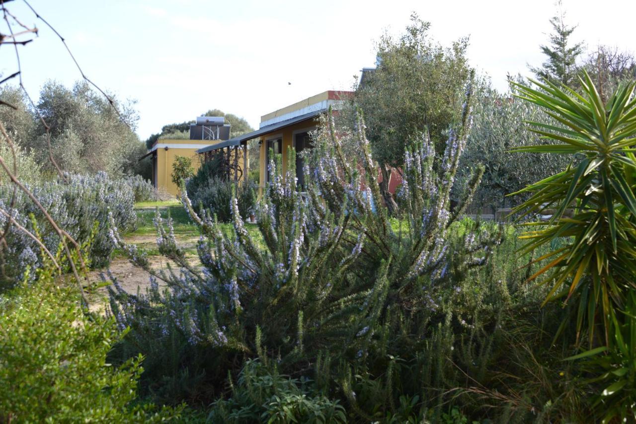 B&B Casa Per Ferie Villaggiocarovana Castiadas Eksteriør bilde