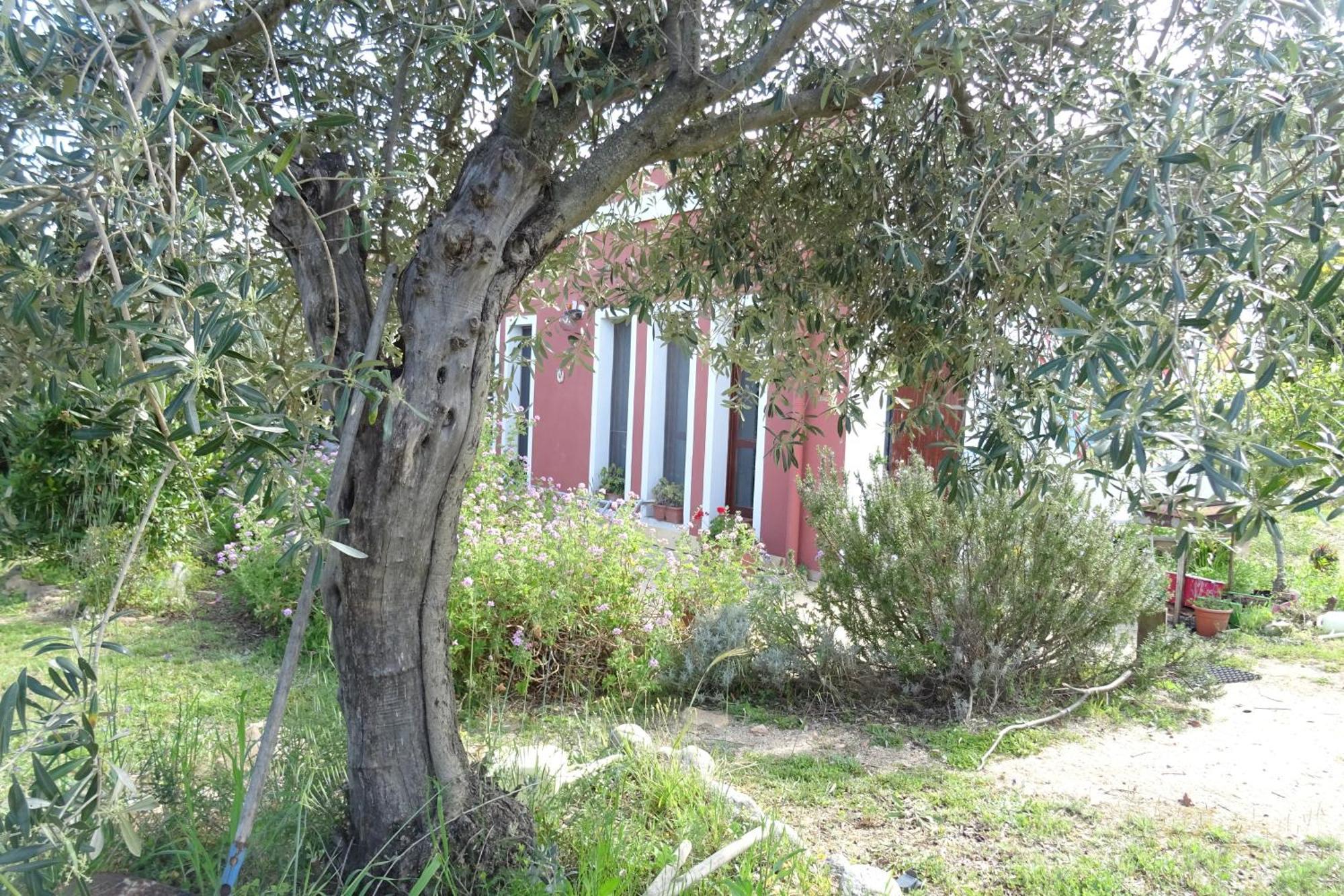 B&B Casa Per Ferie Villaggiocarovana Castiadas Eksteriør bilde